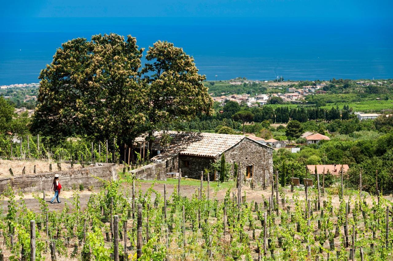 Monaci Delle Terre Nere Hotel ซัฟเฟรานา เอตเนอา ภายนอก รูปภาพ